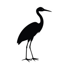 A silhouette of a heron standing gracefully against white space