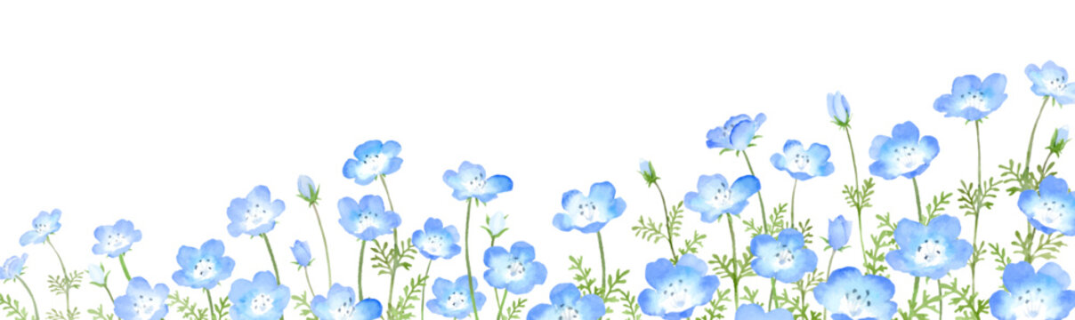 水彩で描いたネモフィラ畑