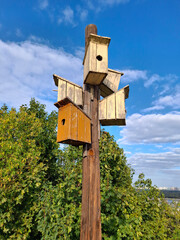 Many birdhouses on one pole. Five birdhouses are nailed to one pole