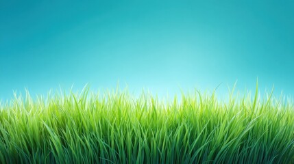 Fresh Vibrant Green Grass Under a Clear Blue Sky with Soft Lightning for Nature and Landscape Background in a Peaceful Outdoor Setting