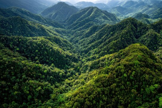 Lush Green Mountain Range Surrounded by Misty Valley in Daylight Capturing Nature’s Beauty and Vibrancy
