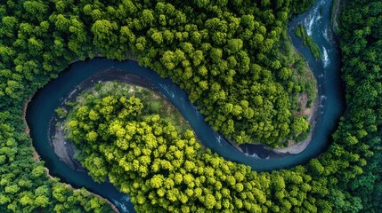 Fototapeta premium Aerial View of a Winding River Surrounded by Lush Green Forest in Bright Daylight
