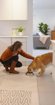 Vertical video: Woman crouching by bowl, pointing to feed dog and petting while eating, copy space