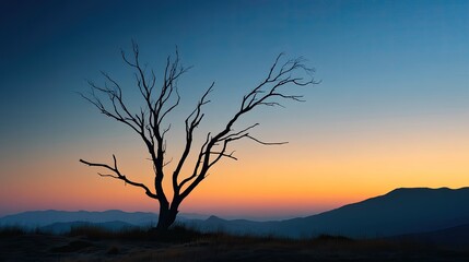 Naklejka premium Silhouetted Dead Tree Against Vibrant Sunrise Sky with Mountains