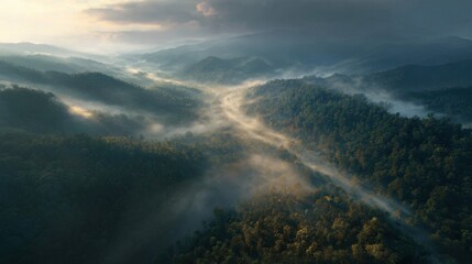 Serene Aerial View of Lush Green Forest Valley with Mist and Soft Morning Light at Dawn in Mountainous Landscape