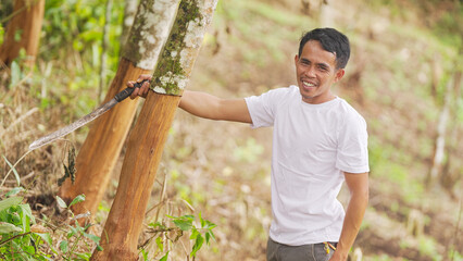 portrait, young indonesian man farmer with cinnamon or cassia tree in plantation with machete for harvesting bark, sumatra, indonesia, southeast asia