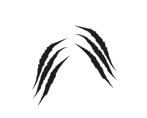 Sharp black claw scratch marks isolated on white background. Animal attack ripped scratch streaks for design, print, and digital art. Grunge aggressive scratch tear elements.