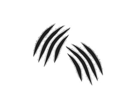 Sharp black claw scratch marks isolated on white background. Animal attack ripped scratch streaks for design, print, and digital art. Grunge aggressive scratch tear elements.