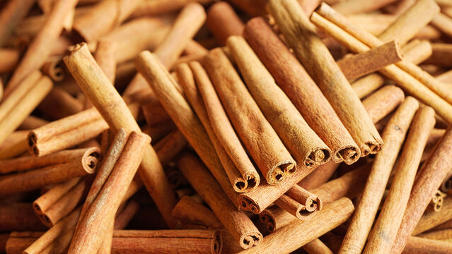 closeup, indonesian cinnamon sticks from cinnanomum burmanii, sumatra, indonesia