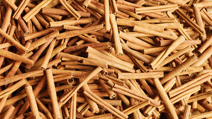 indonesian cinnamon sticks  indonesia, southeast asia