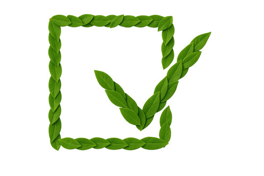 Green leaves forming a checkmark and checkbox, representing ecology, sustainability, and making an environmentally conscious decision
