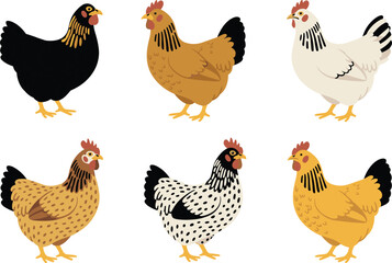 Set of colorful hens, vector chicken collection, different farm poultry breeds, isolated flat design illustration on white background.