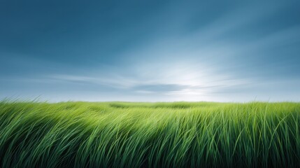 Fototapeta premium Vibrant Green Grass Under a Blue Sky with Soft Clouds and Gentle Breeze in a Serene Landscape during Daylight Hours