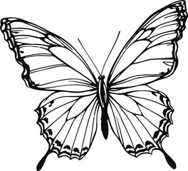 Minimalist bold line drawing of a butterfly in flight 1