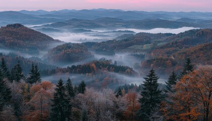 Serene autumn sunrise over foggy countryside with warm golden light in landscape photography