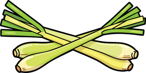 Illustration of Fresh Lemongrass Stalks with Green Leaves and Yellow Bulbs Crossed Isolated on White