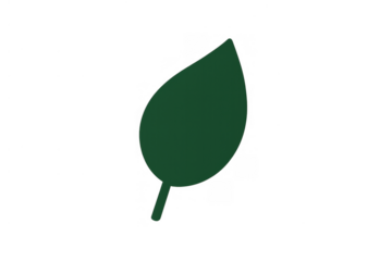 Green leaf icon representing nature, ecology, environment, growth, and organic concepts with transparent background