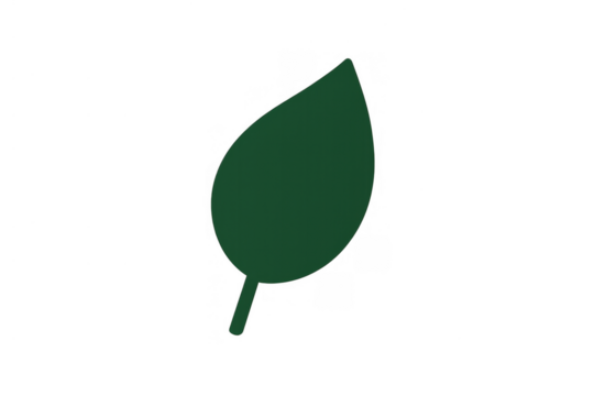Green leaf icon representing nature, ecology, environment, growth, and organic concepts with transparent background