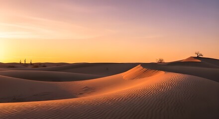 Golden hour bathes the serene desert landscape in warm hues, highlighting the undulating sand dunes and sparse vegetation, creating a peaceful and visually striking image evoking tranquility