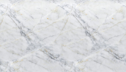 Obraz premium ホワイトマーブル・ラグジュアリー背景