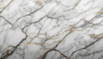 ホワイトマーブル・ラグジュアリー背景