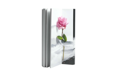 Open book displays a pink rose image
