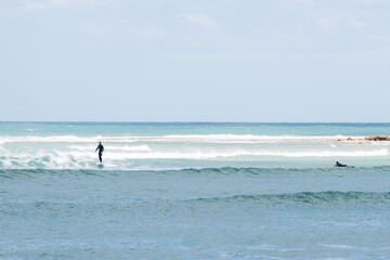 Fototapeta premium surfer on a wave at the beach