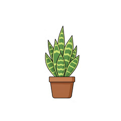 Sansevieria Plant in Pot Illustration