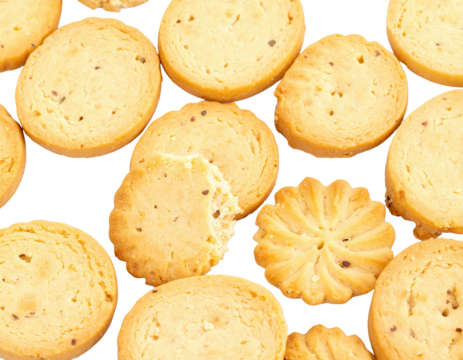 British digestive biscuit minis arranged neatly on white