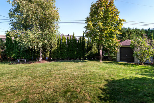 Exterior and interior of a modern Canad house with backyard, driveway, and complete living spaces. Includes living room, kitchen, bedrooms, bathrooms, hallways and basement