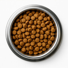 Stainless steel dog food bowl with dry kibble isolated on white