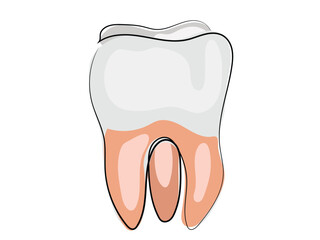 Teeth in a continuous line pattern