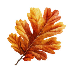 Obraz premium Autumn oak leaf with detailed veins and textured surface on a black background