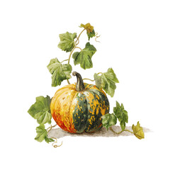 Illustration of a colorful pumpkin with green leaves and vines on a black background