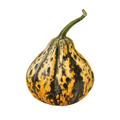Watercolor painting of a decorative gourd with yellow, orange, and black stripes and spots on a black background.