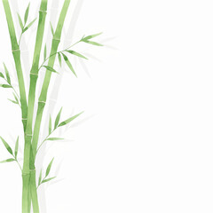 Naklejka premium Watercolor Green Bamboo Frame on Clean White Background