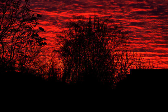day ends crimson sunset fills sky with bold colors while trees and rooftops stand in silhouette creating a serene atmosphere in a quiet neighborhood. - Powered by Adobe