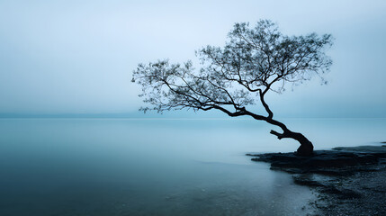 Misty Solitude The Lone Tree in Serene Waters