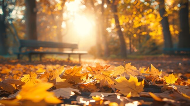 Serene autumn park bench adorned with colorful leaves under warm sunlight for peaceful moments - Powered by Adobe