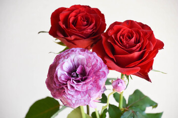 Naklejka premium 薔薇とラナンキュラス