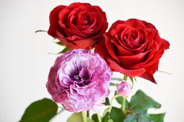 薔薇とラナンキュラス