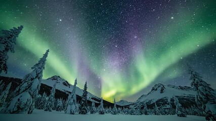 Vibrant green and purple aurora borealis illuminates the starry night sky over a snow-covered mountain forest. - Powered by Adobe