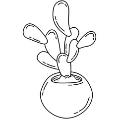 doodle cactus plant outline style