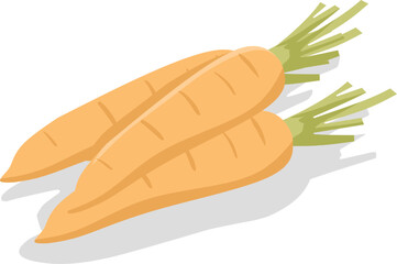 carrot