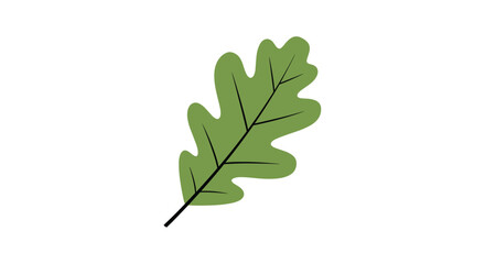 A green oak leaf with dark veins and a stem, isolated on a white background.