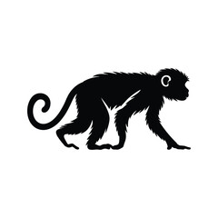 Monkey Icon – Wild Animal Monkey Silhouette Vector