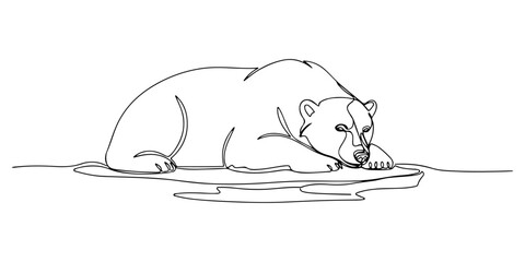Continuous one line of polar bear resting on ice, symbolizing winter arctic life, hand drawn vector illustration.