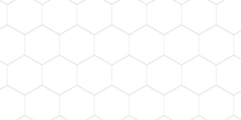 Fototapeta premium Mosquito window net with a seamless pattern in the form of PVC hexagons or interwoven threads. Protecting doorways from flies and other flying insects. Simple vector background with honeycomb texture.