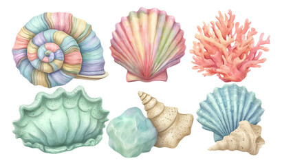 Fototapeta premium Vibrant Collection of Ocean Shells and Coral Illustrations for Summer Designs
