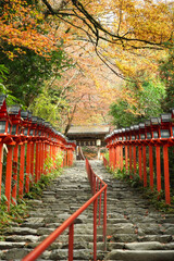japanese garden in autumn